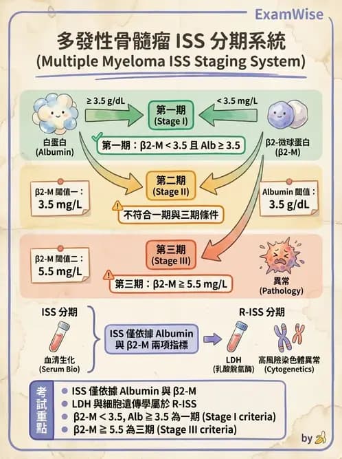 內專 - 淋巴瘤與多發性骨髓瘤 - AI 圖文解析預覽