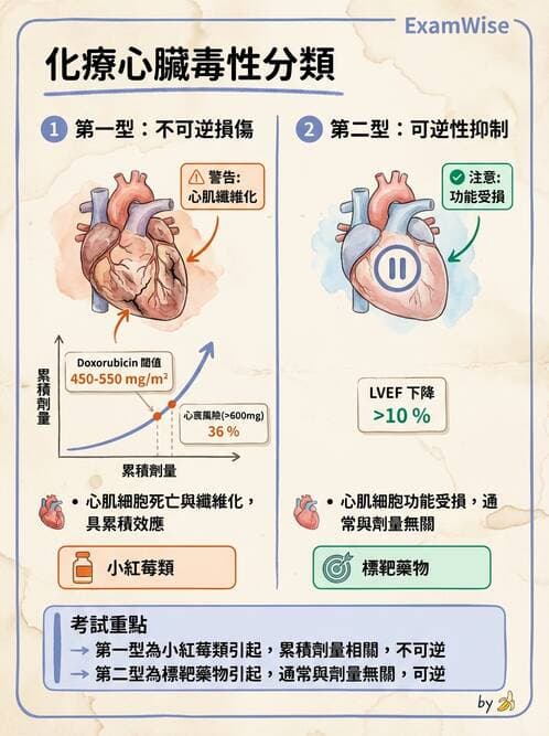 內專 - 非消化系統腫瘤 - AI 圖文解析預覽