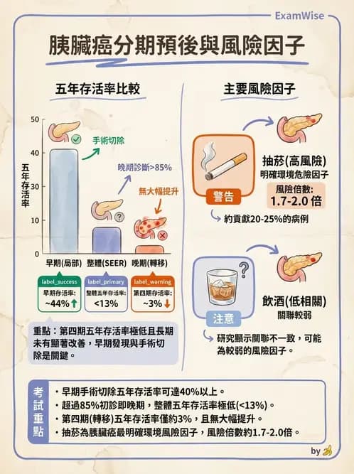 內專 - 消化系統腫瘤 - AI 圖文解析預覽