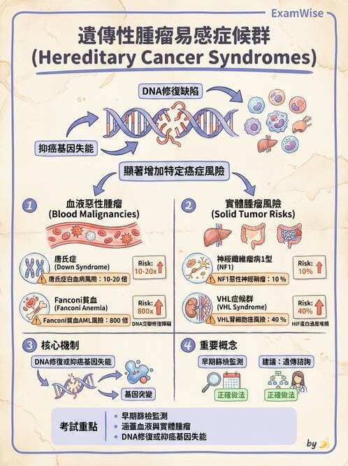 內專 - 腫瘤總論與篩檢 - AI 圖文解析預覽