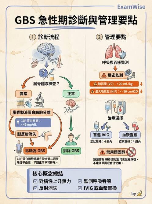 內專 - 神經肌肉接合與周邊神經疾病 - AI 圖文解析預覽