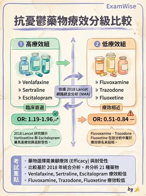 內專 - 精神藥物與成癮 - AI 圖文解析預覽
