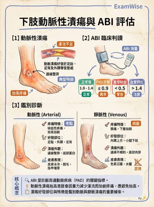 內專 - 皮膚感染症 - AI 圖文解析預覽