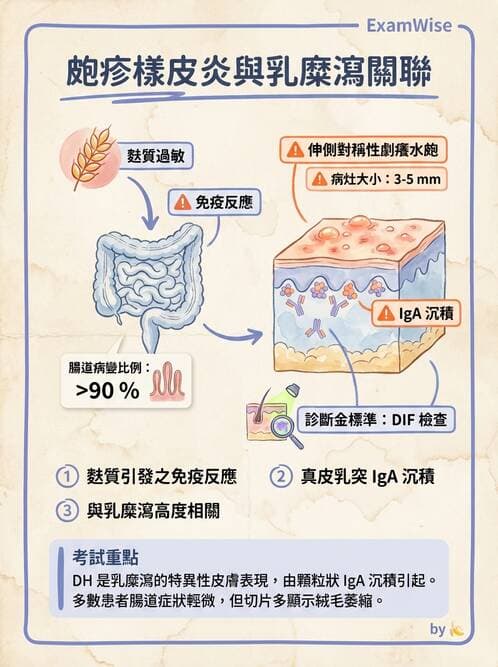 內專 - 免疫皮膚病與藥物反應 - AI 圖文解析預覽
