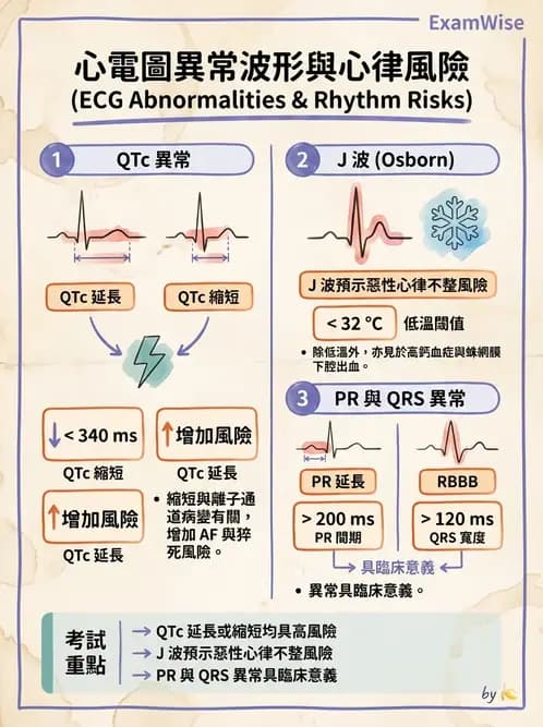 內專 - 心房顫動與上心室心律不整 - AI 圖文解析預覽