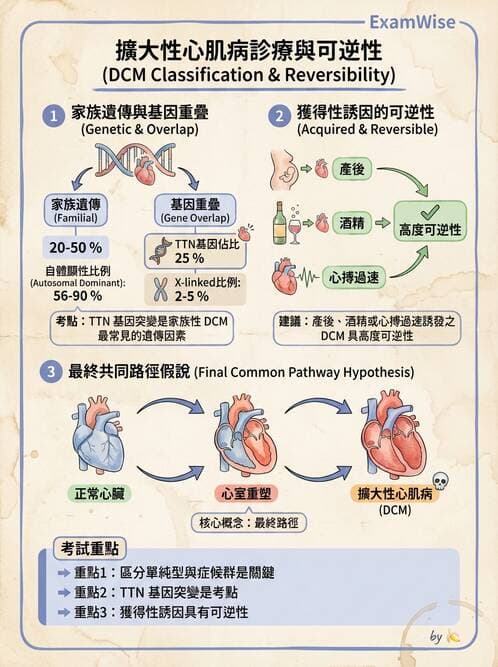 內專 - 心肌病變 - AI 圖文解析預覽