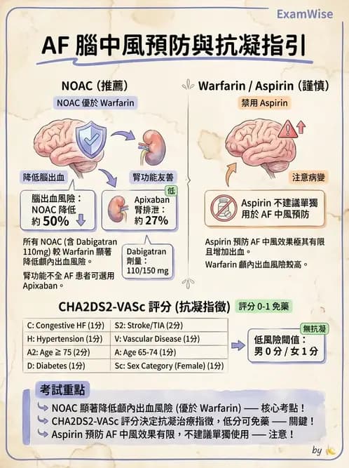 內專 - 心房顫動與上心室心律不整 - AI 圖文解析預覽