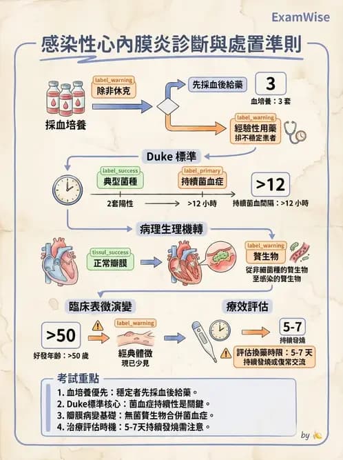 內專 - 心內膜炎與心包膜疾病 - AI 圖文解析預覽
