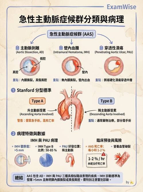 內專 - 主動脈與周邊血管疾病 - AI 圖文解析預覽