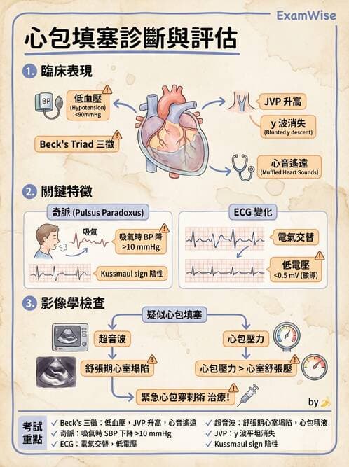內專 - 心內膜炎與心包膜疾病 - AI 圖文解析預覽