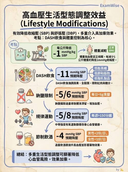 內專 - 高血壓 - AI 圖文解析預覽