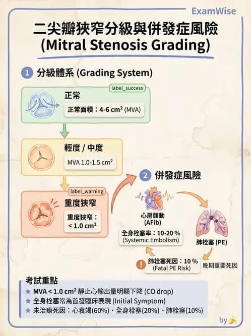 內專 - 瓣膜性心臟病 - AI 圖文解析預覽