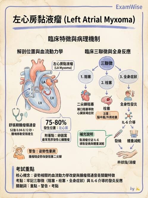 內專 - 瓣膜性心臟病 - AI 圖文解析預覽