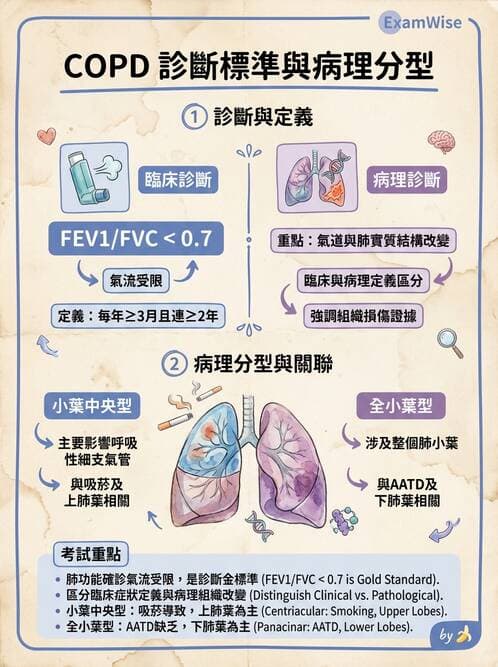 內專 - COPD 穩定期診斷與治療 - AI 圖文解析預覽