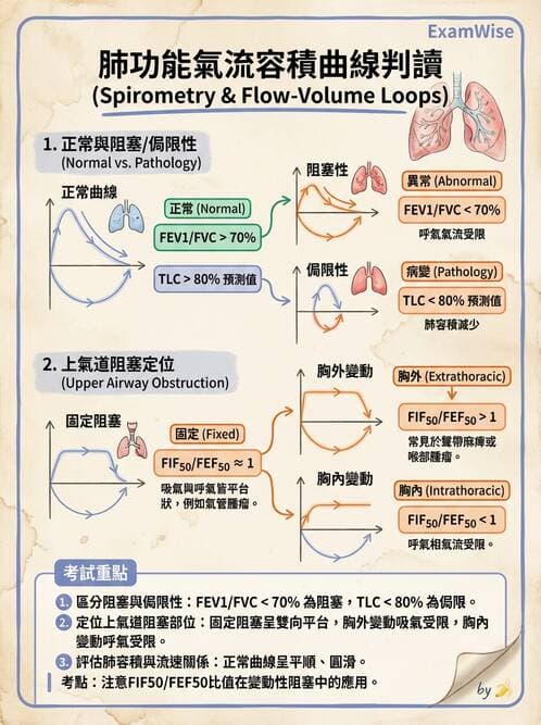 內專 - 肺功能檢查與支氣管擴張 - AI 圖文解析預覽