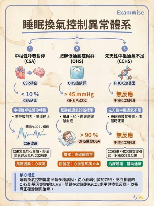 內專 - 呼吸衰竭、非侵襲性呼吸器與睡眠呼吸中止 - AI 圖文解析預覽