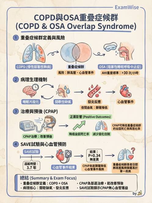 內專 - 呼吸衰竭、非侵襲性呼吸器與睡眠呼吸中止 - AI 圖文解析預覽