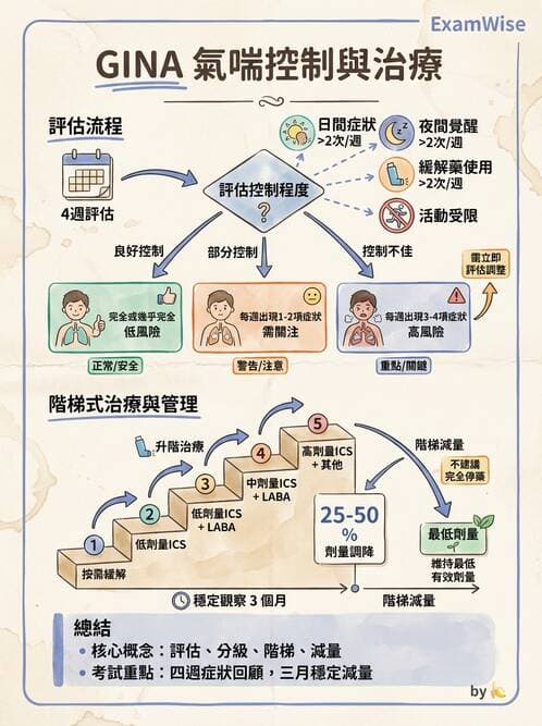 內專 - 氣喘 - AI 圖文解析預覽
