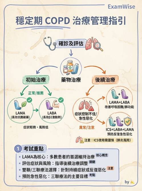 內專 - COPD 穩定期診斷與治療 - AI 圖文解析預覽