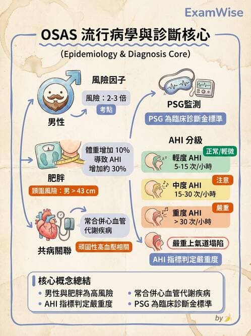 內專 - 呼吸衰竭、非侵襲性呼吸器與睡眠呼吸中止 - AI 圖文解析預覽