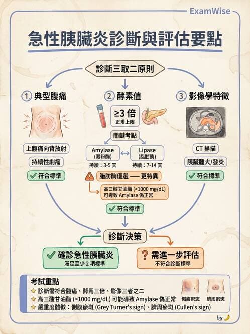 內專 - 胰臟疾病 - AI 圖文解析預覽