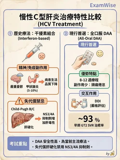 內專 - C型肝炎 - AI 圖文解析預覽