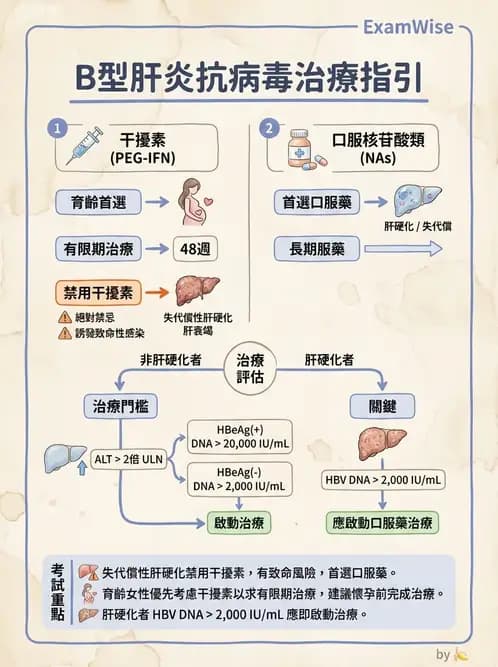 內專 - B型肝炎 - AI 圖文解析預覽
