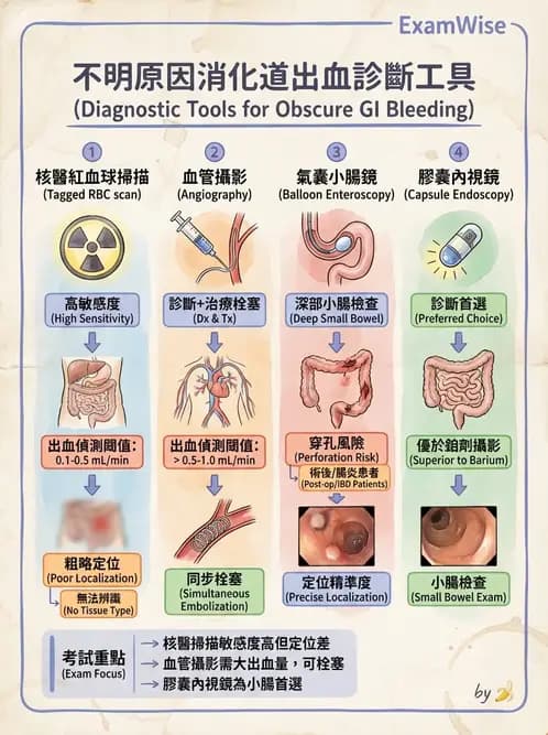 內專 - 胃炎、術後併發症與其他上消化道疾病 - AI 圖文解析預覽