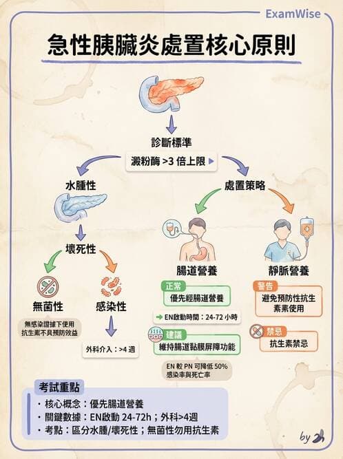 內專 - 胰臟疾病 - AI 圖文解析預覽