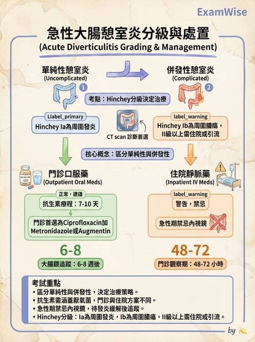 內專 - 憩室病、缺血性腸病與消化道出血 - AI 圖文解析預覽