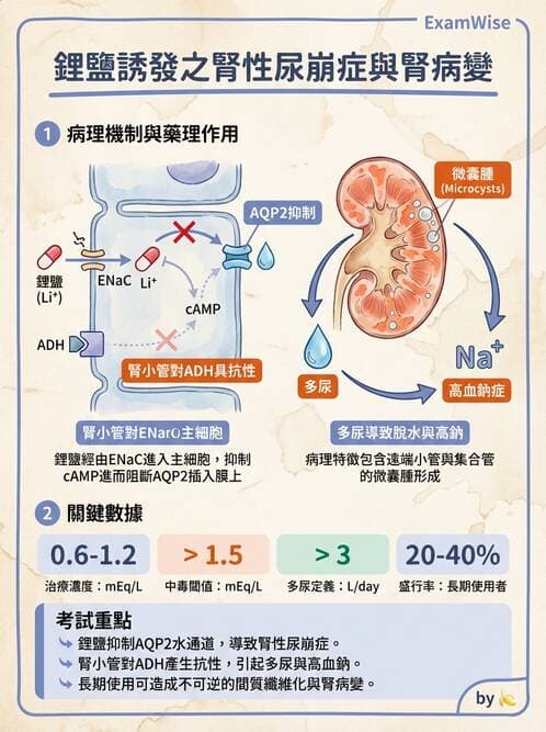 內專 - 電解質異常 - AI 圖文解析預覽