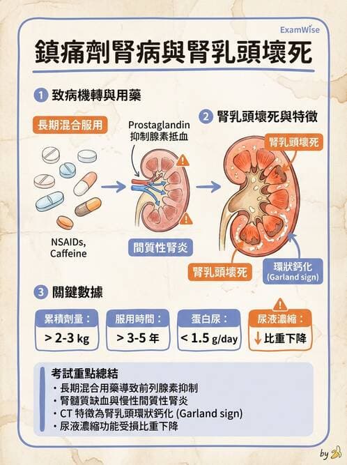 內專 - 腎間質疾病與其他 - AI 圖文解析預覽