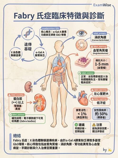 內專 - 腎間質疾病與其他 - AI 圖文解析預覽