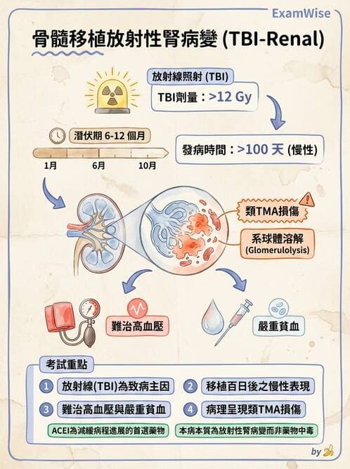 內專 - 腎血管疾病與妊娠腎病 - AI 圖文解析預覽
