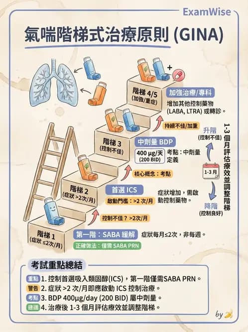 內專 - 氣喘 - AI 圖文解析預覽