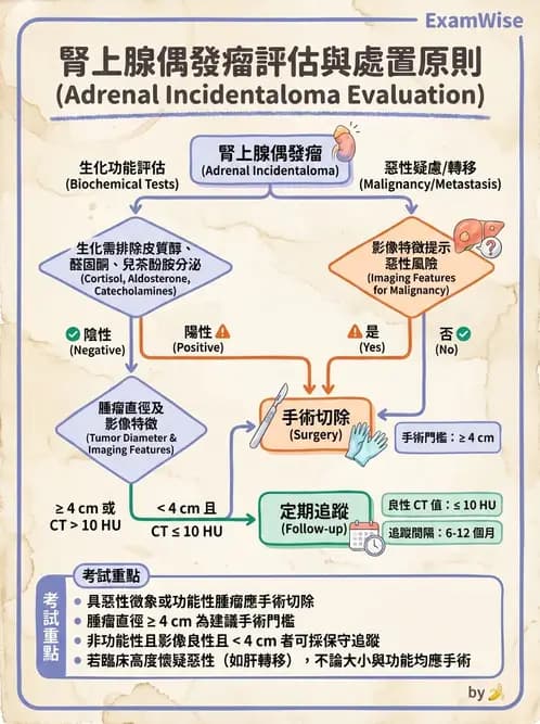 內專 - 胰臟疾病 - AI 圖文解析預覽