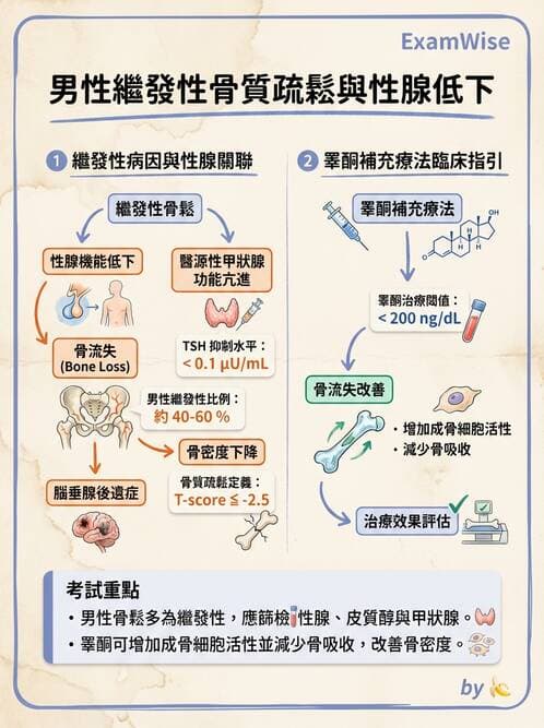 內專 - 糖尿病診斷、特殊族群與代謝性疾病 - AI 圖文解析預覽