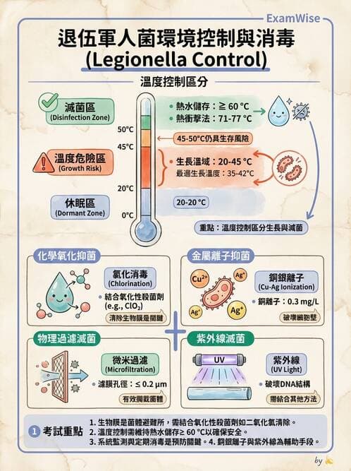 內專 - 呼吸道與中樞神經感染 - AI 圖文解析預覽