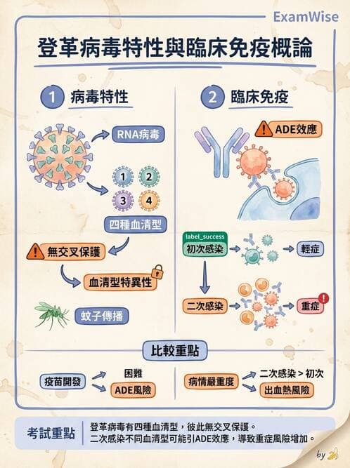 內專 - 蟲媒感染、性傳播感染與寄生蟲 - AI 圖文解析預覽
