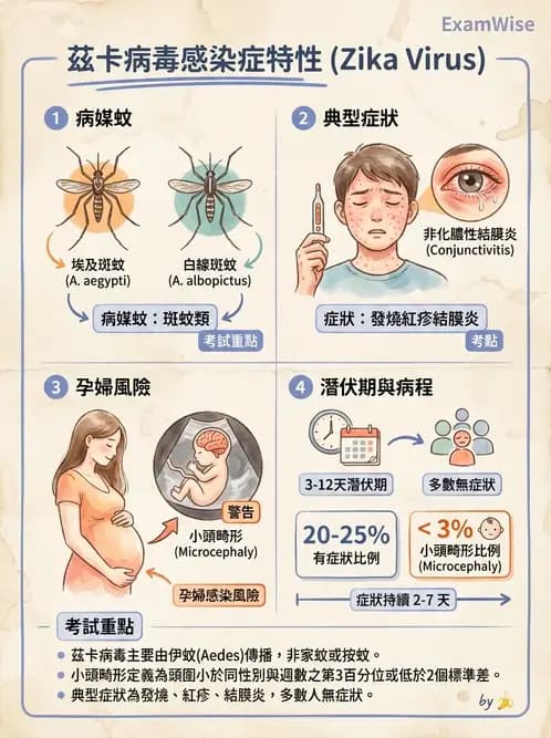 內專 - 蟲媒感染、性傳播感染與寄生蟲 - AI 圖文解析預覽