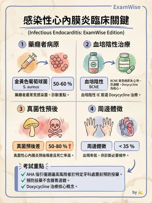 內專 - 革蘭氏陽性菌感染 - AI 圖文解析預覽