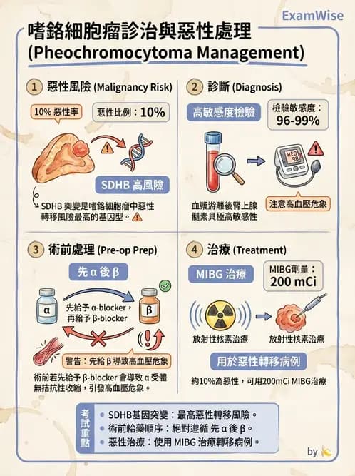 內專 - 嗜鉻細胞瘤與腎上腺髓質 - AI 圖文解析預覽