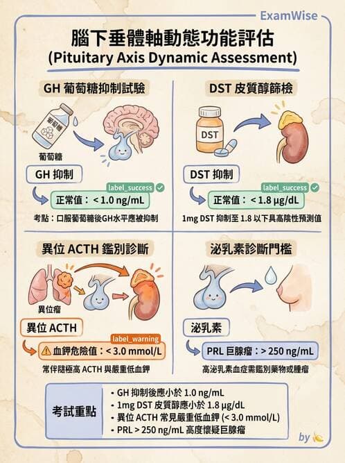 內專 - 腦垂體疾病 - AI 圖文解析預覽