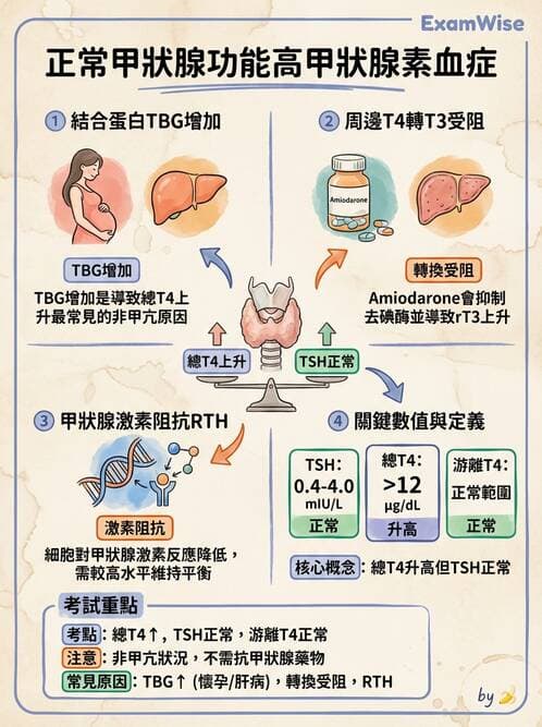 內專 - 甲狀腺疾病 - AI 圖文解析預覽