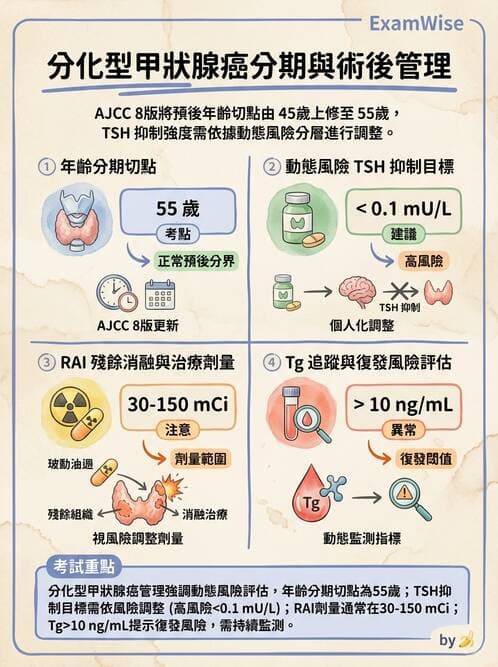 內專 - 甲狀腺疾病 - AI 圖文解析預覽