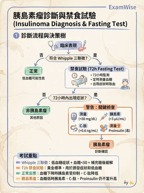 內專 - 低血糖與內源性高胰島素血症 - AI 圖文解析預覽
