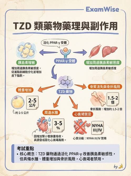 內專 - SGLT2i與TZD藥物特論 - AI 圖文解析預覽