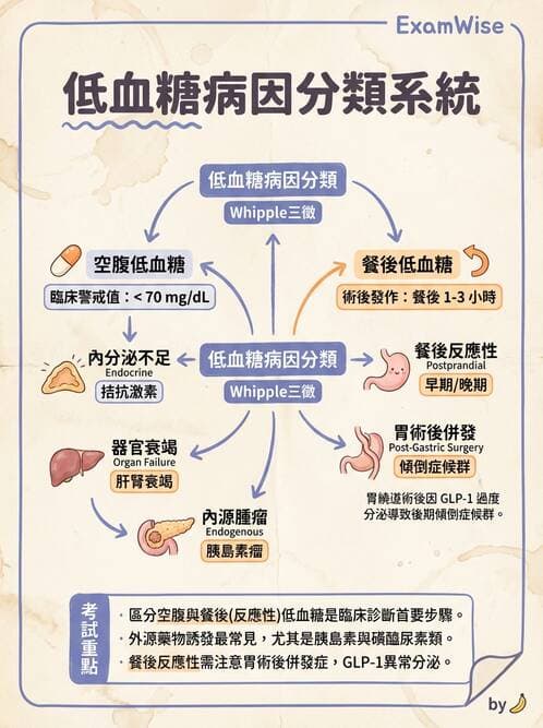 內專 - 低血糖與內源性高胰島素血症 - AI 圖文解析預覽