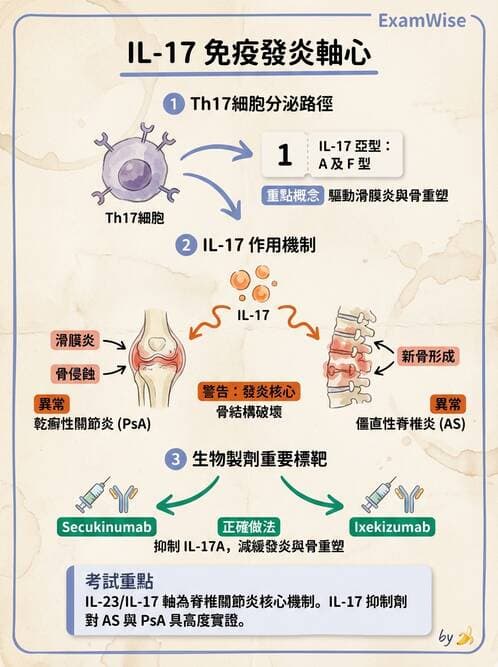 RA - 類風濕性關節炎 - AI 圖文解析預覽