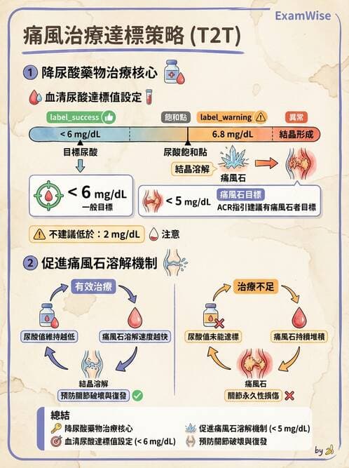 內專 - 痛風、結晶性與退化性關節炎 - AI 圖文解析預覽
